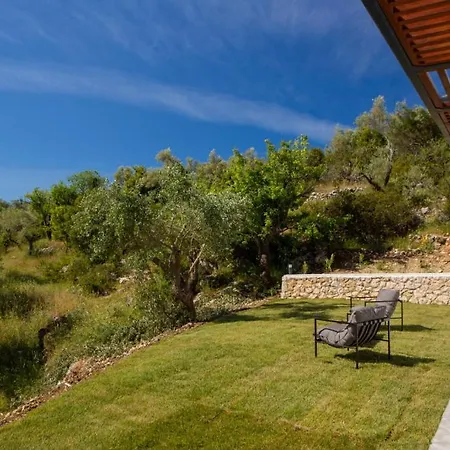 High-end Faos Three *